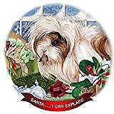 Guinea Pig Peruvian Porcelain Ornament Pet Gift 'Santa. I Can Explain!'