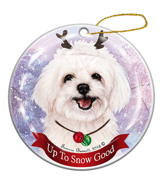Holiday Pet Gifts Maltipoo Reindeer Dog Porcelain Christmas Ornament
