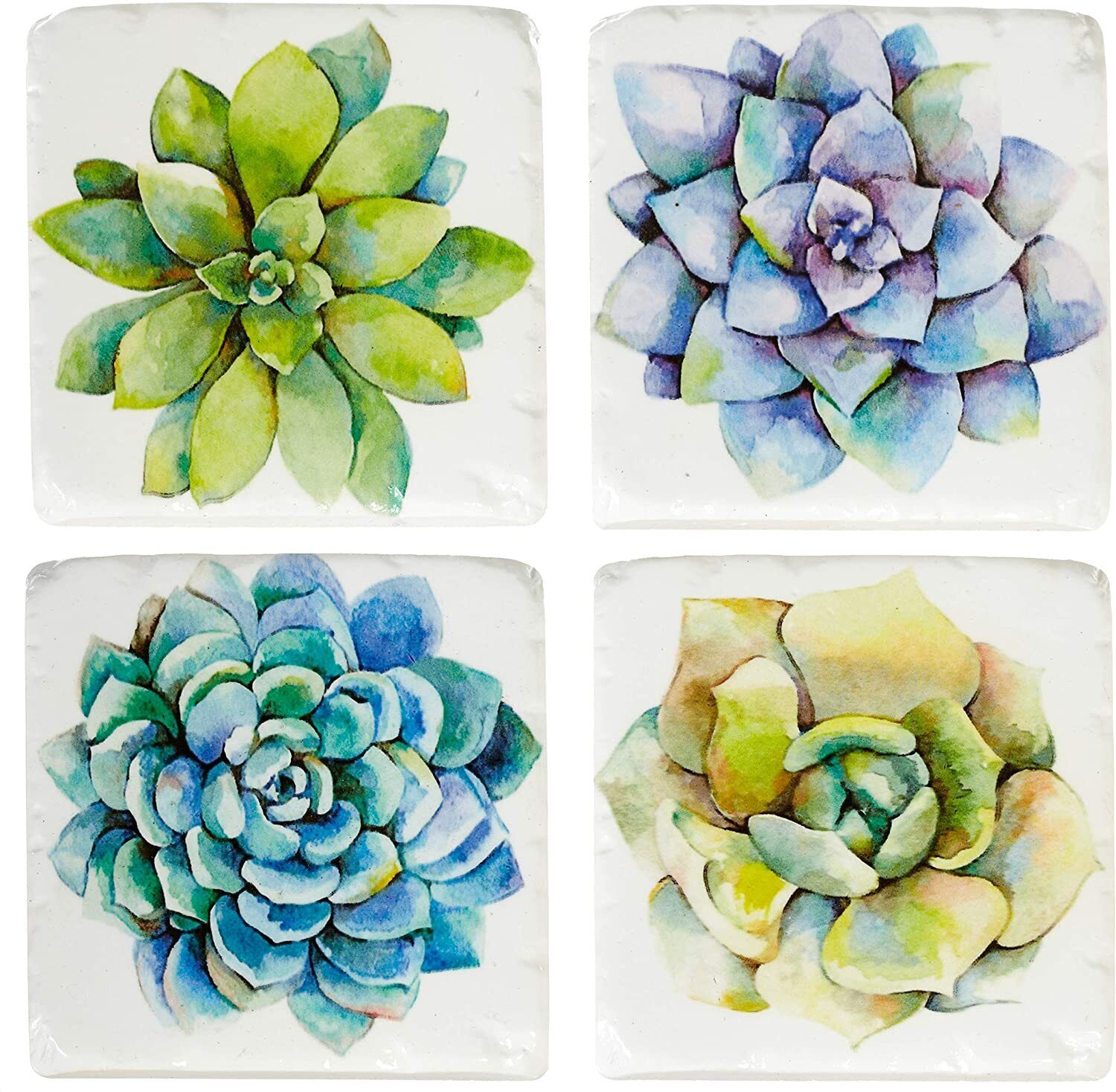 Midwest-CBK Succulent Plants Cactus Drink Coasters Set of 4, Resin