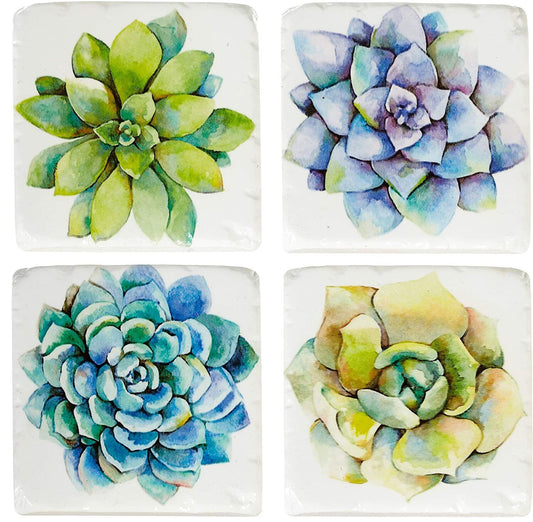 Midwest-CBK Succulent Plants Cactus Drink Coasters Set of 4, Resin