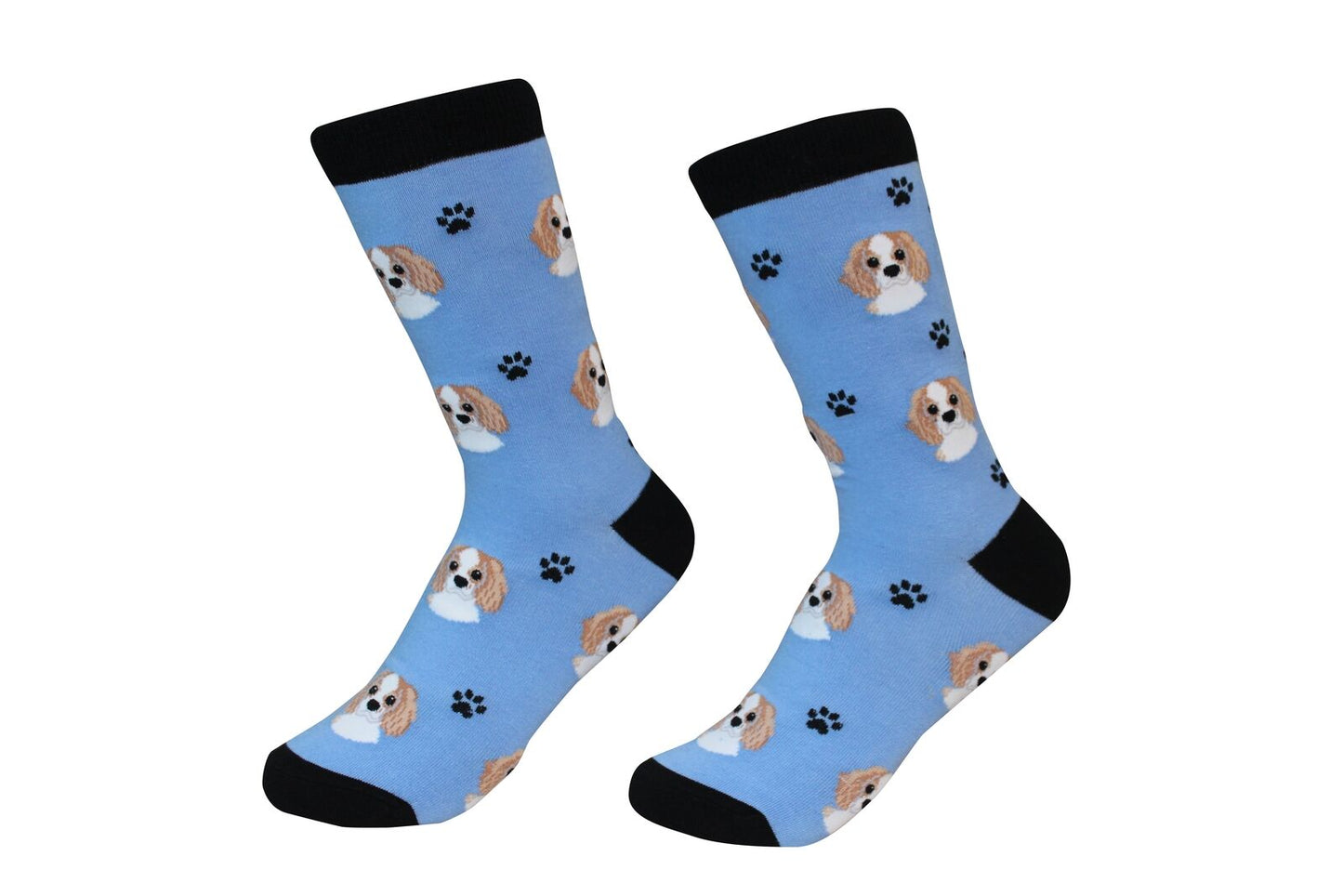 Cavalier King Charles Spaniel Dog Breed Socks Unisex Sock Daddy by E&S Pets