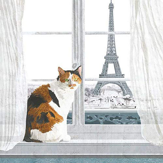 Paperproducts Design Madeleine A Paris Beverage/Cocktail Paper Napkins,5"x5"