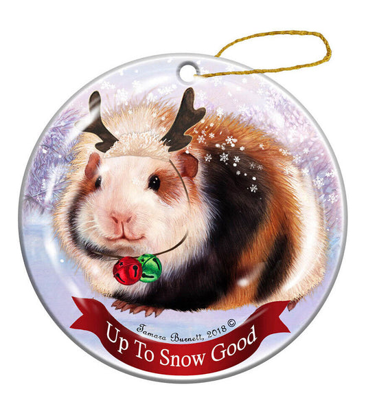 Holiday Pet Gifts Guinea Pig Teddy Porcelain Christmas Ornament