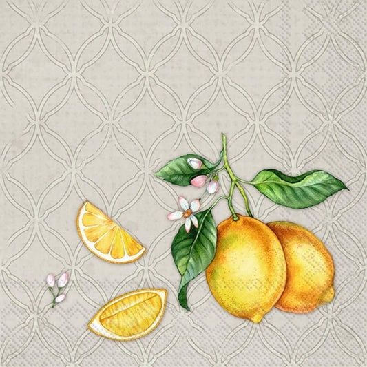 Boston International 5 x 5 in. Paper Cocktail Napkin Citrons Grey - Pack of 20