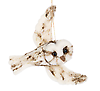 Ganz MX194625 Woodland Owl Ornaments, Set of 2, 7"