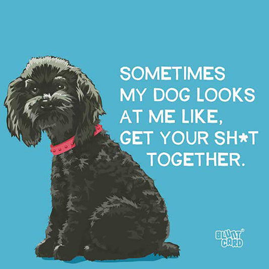 Paperproducts Design Sometimes My Dog Looks at Me Beverage Napkin, 5" x 5",