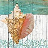 Paperproducts Design 1252443 Waterside Conch Beverage Napkins Paper, Blue