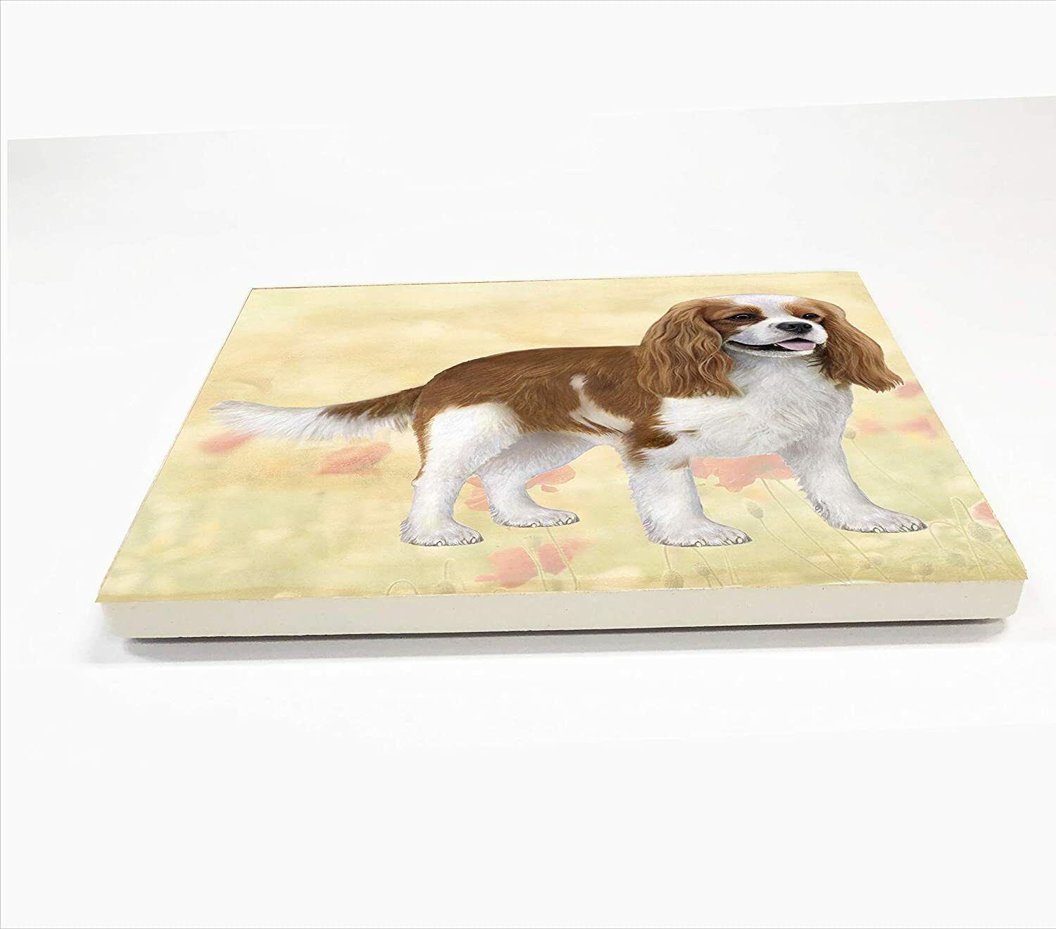 Cavalier King Charles (Standing) Tabletop Drink Coaster (1)