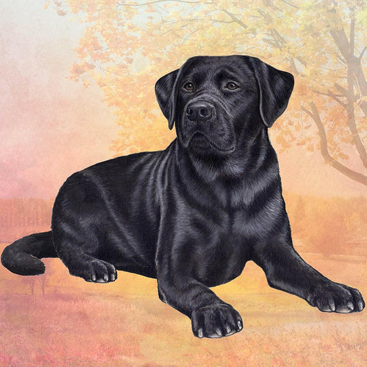 Labrador (Black Laying) Tabletop Drink Coaster (1)