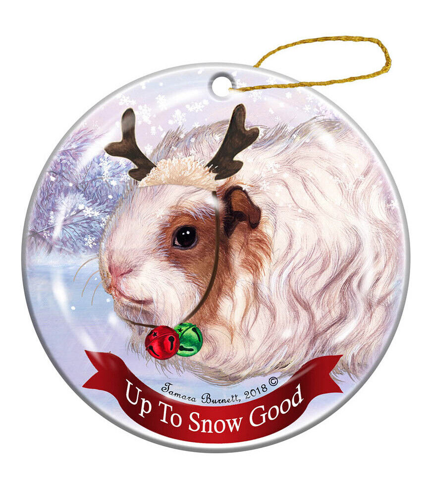 Holiday Pet Gifts Guinea Pig Texel Porcelain Christmas Ornament