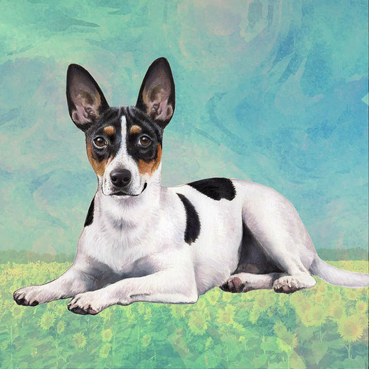 Rat Terrier Tabletop Drink Coaster (1)