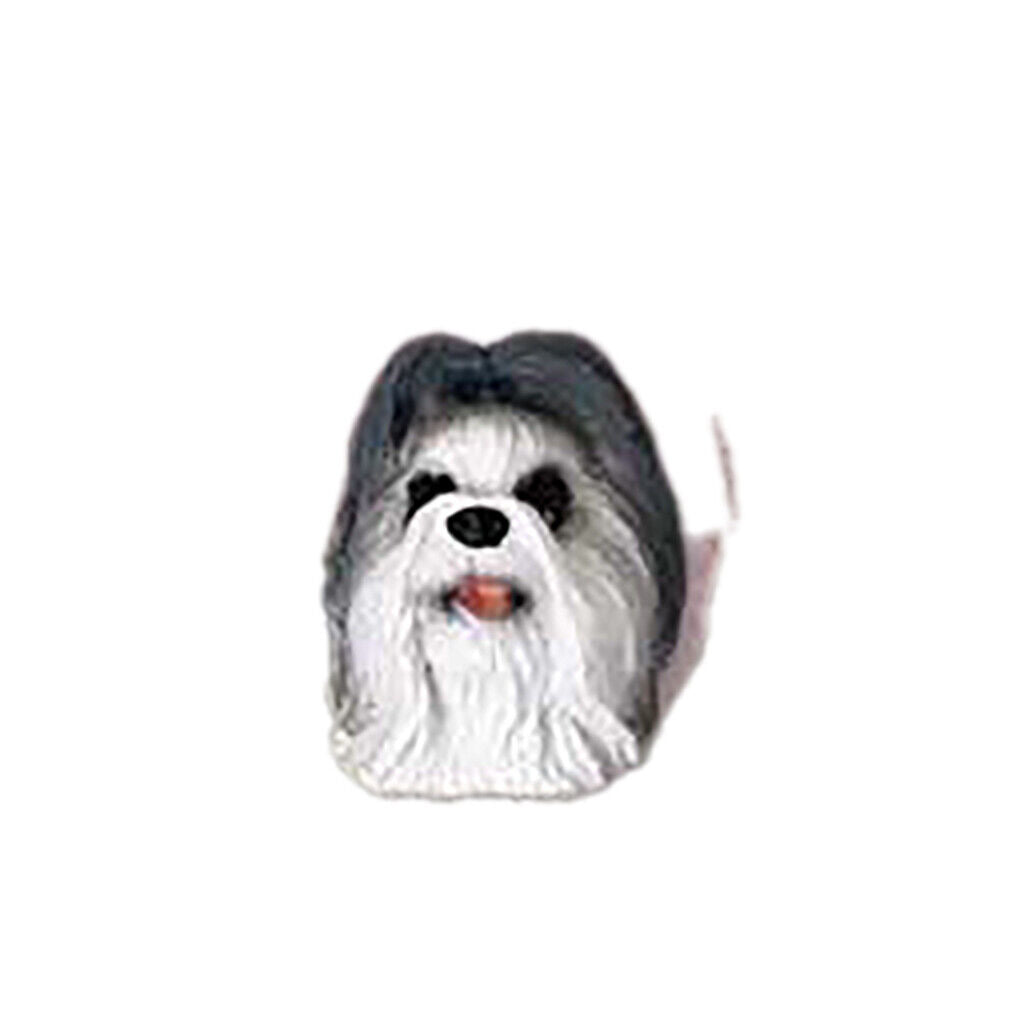Conversation Concepts Shih Tzu Gray Post Earrings