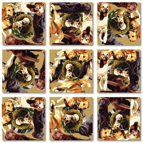 B Dazzle Retrievers Scramble Squares 9 Piece Puzzle