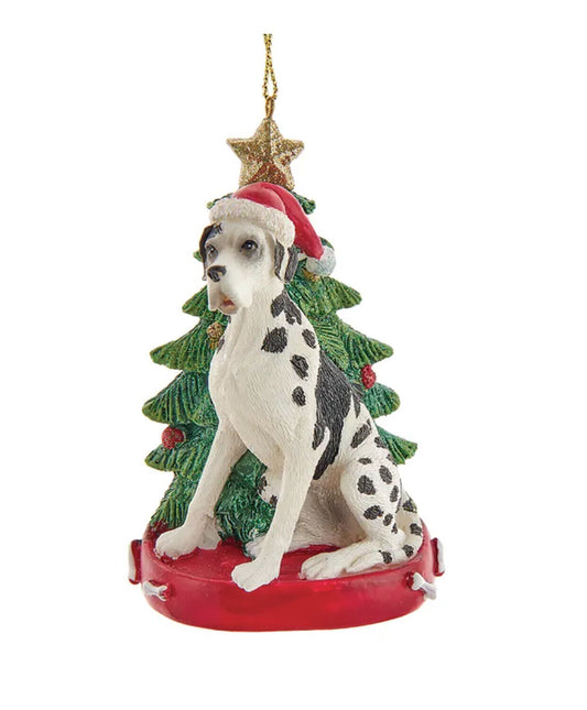 Kurt Adler Great Dane With Santa Hat Christmas Tree Ornament, 4.25 "