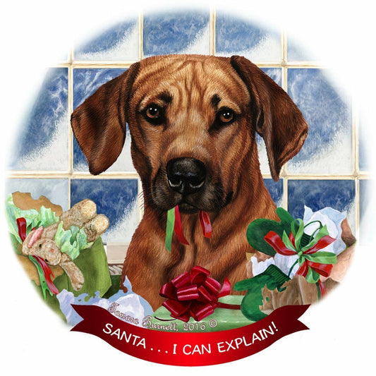 Rhodesian Ridgeback Dog Porcelain Ornament Pet Gift 'Santa.. I Can Explain!'