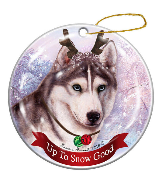 Holiday Pet Gifts Grey and White Siberian Husky Dog Porcelain Christmas Ornament
