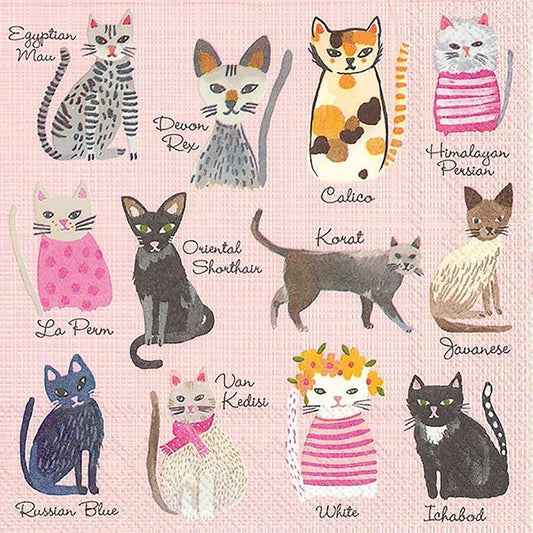 Boston International IHR Cocktail Beverage Paper Napkins 5 x 5 Cool Cats