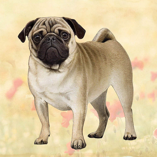 Pug (Tan Standing) Tabletop Drink Coaster (1)