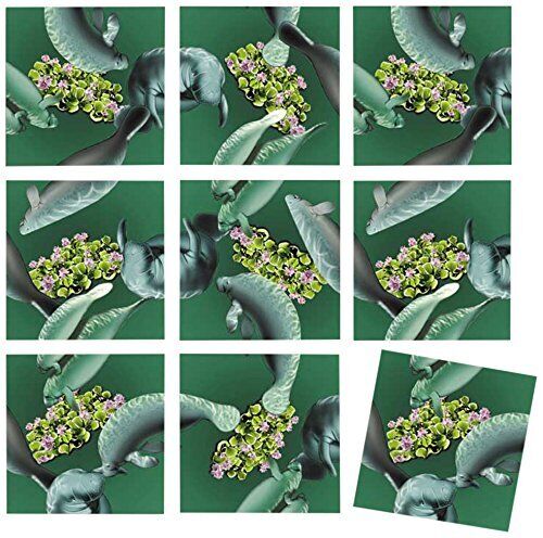 B Dazzle Manatees Scramble Squares 9 Piece Puzzle