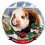 Guinea Pig Teddy Porcelain Ornament Pet Gift 'Santa. I Can Explain!'