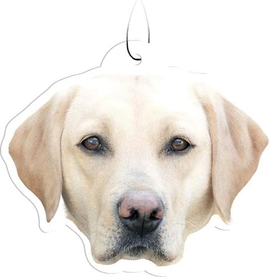 Spoontiques Yellow Lab Labrador Retriever Air Freshener (3-Pack)