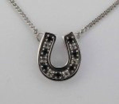 Finishing Touch Crystal Channel Horseshoe Necklace - Jet Black