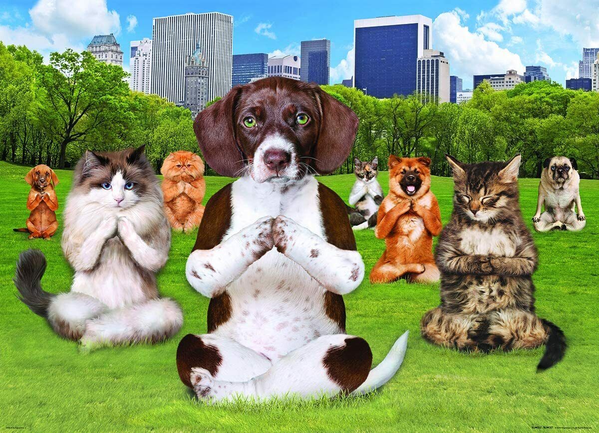 EuroGraphics Dogs and Cats Yoga Park Jigsaw Puzzle (300-Piece)