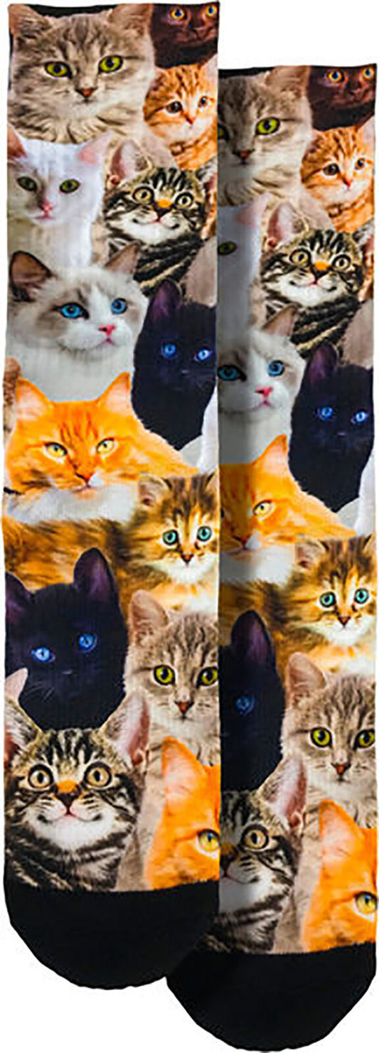 Spoontiques Fun Crew Socks, One Size Fits Most - Cats
