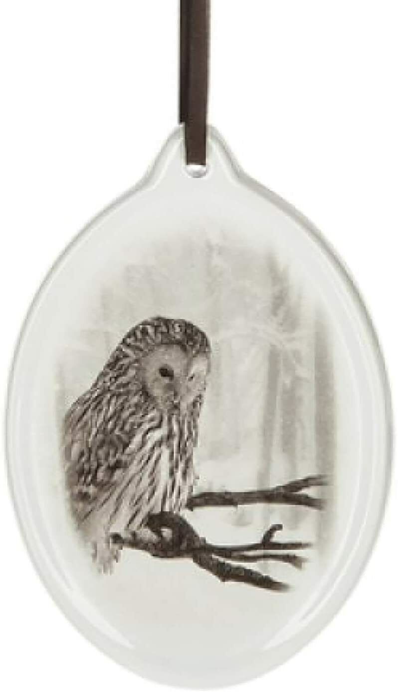 Ganz Owl Animal Hanging Christmas/Everyday Ornament, 5" Dolomite