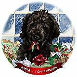 Goldendoodle Black Dog Porcelain Ornament Pet Gift 'Santa. I Can Explain!'