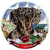 Dachsund SH Dapple Chocolate Dog Porcelain Ornament 'Santa. I Can Explain!'