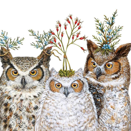 Paperproducts Design Holiday Hoot Owl Beverage Napkins, Set of 20