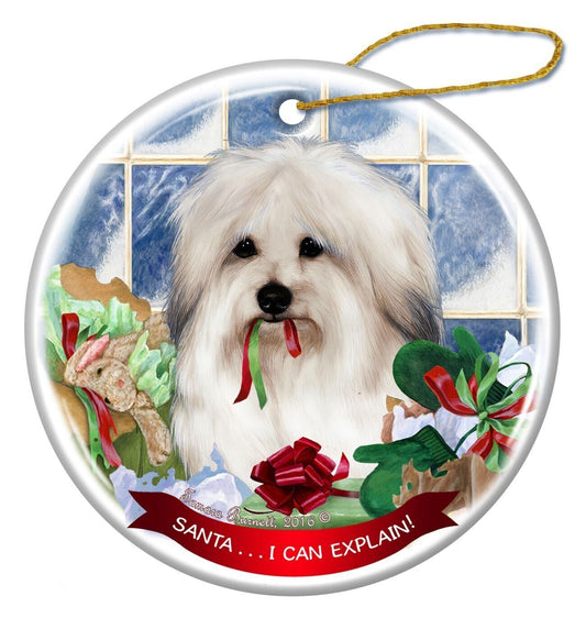 Coton de Tulear Dog Porcelain Hanging Ornament Pet Gift 'I Can Explain!'