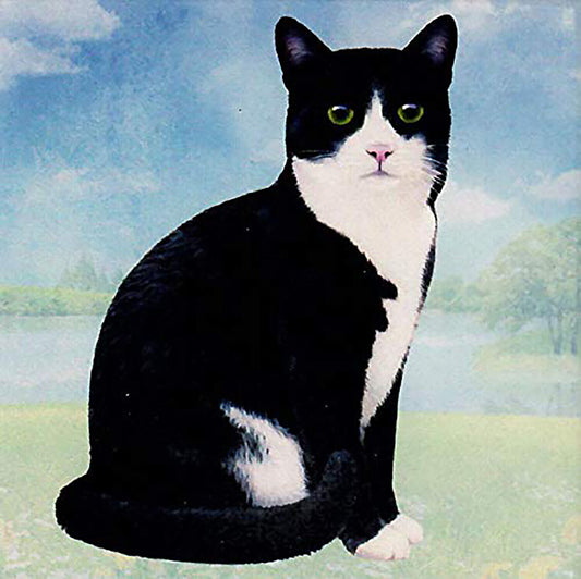 Black & White Cat Tabletop Drink Coaster (1)