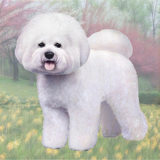 Bichon Frise Tabletop Drink Coaster (1)