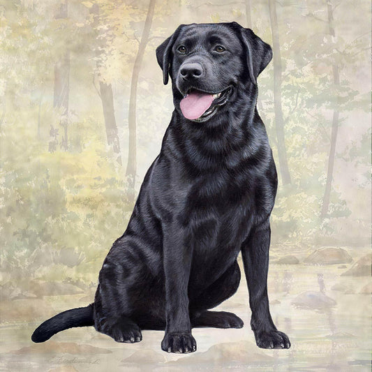 Labrador (Black Sitting) Tabletop Drink Coaster (1)