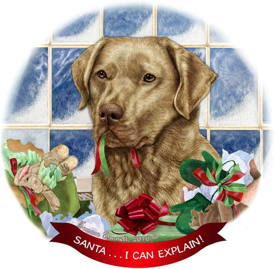 Chesapeake Bay Retriever Dead Grass Porcelain Ornament 'I Can Explain!'