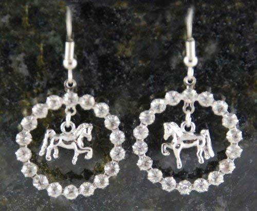 Finishing Touch Crystal Ring Saddlebred Fish Hook Earrings - Silver Finish
