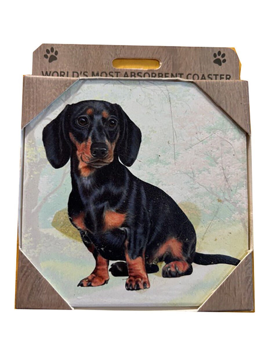 Dachshund Sitting Black Tabletop Drink Coaster (1)