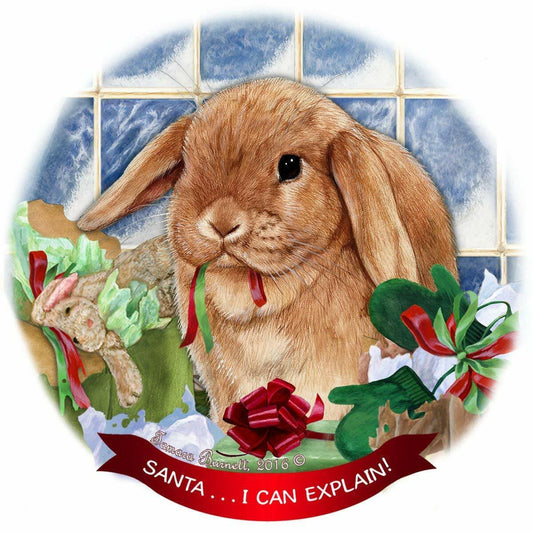 Mini Lop Rabbit Porcelain Hanging Ornament Pet Gift 'Santa.. I Can Explain!'