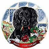 Boykin Spaniel Black Dog Porcelain Ornament Pet Gift Santa I Can Explain!