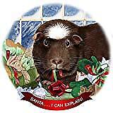 Guinea Pig Choc Crested Porcelain Ornament Pet Gift 'Santa. I Can Explain!'