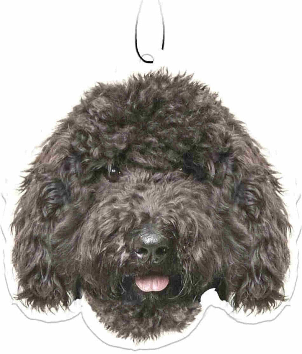 Spoontiques Black Labradoodle Air Freshener (3-Pack)
