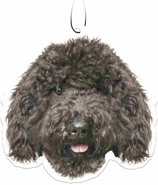 Spoontiques Black Labradoodle Air Freshener (3-Pack)
