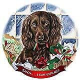 Boykin Spaniel Brown Dog Porcelain Ornament Pet Gift Santa I Can Explain!