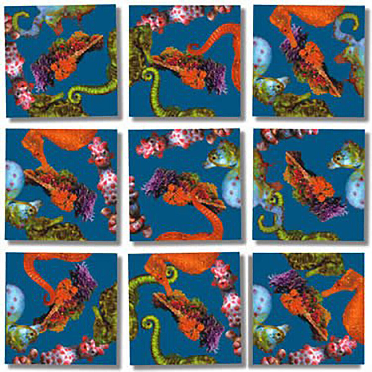 B Dazzle Seahorses Scramble Squares 9 Piece Puzzle