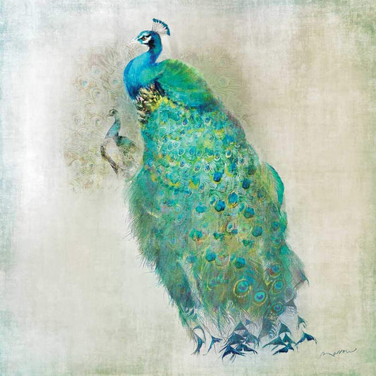 Paperproducts Design Luncheon Napkins, Peacock Royale, 6.5", 20 count