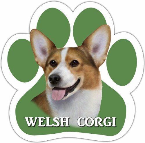 Welsh Corgi Car Magnet With Unique Paw Shaped Design Measures 5.2 x 5.2 Inches