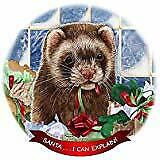 Ferret Chocolate Porcelain Ornament Pet Gift 'Santa. I Can Explain!'