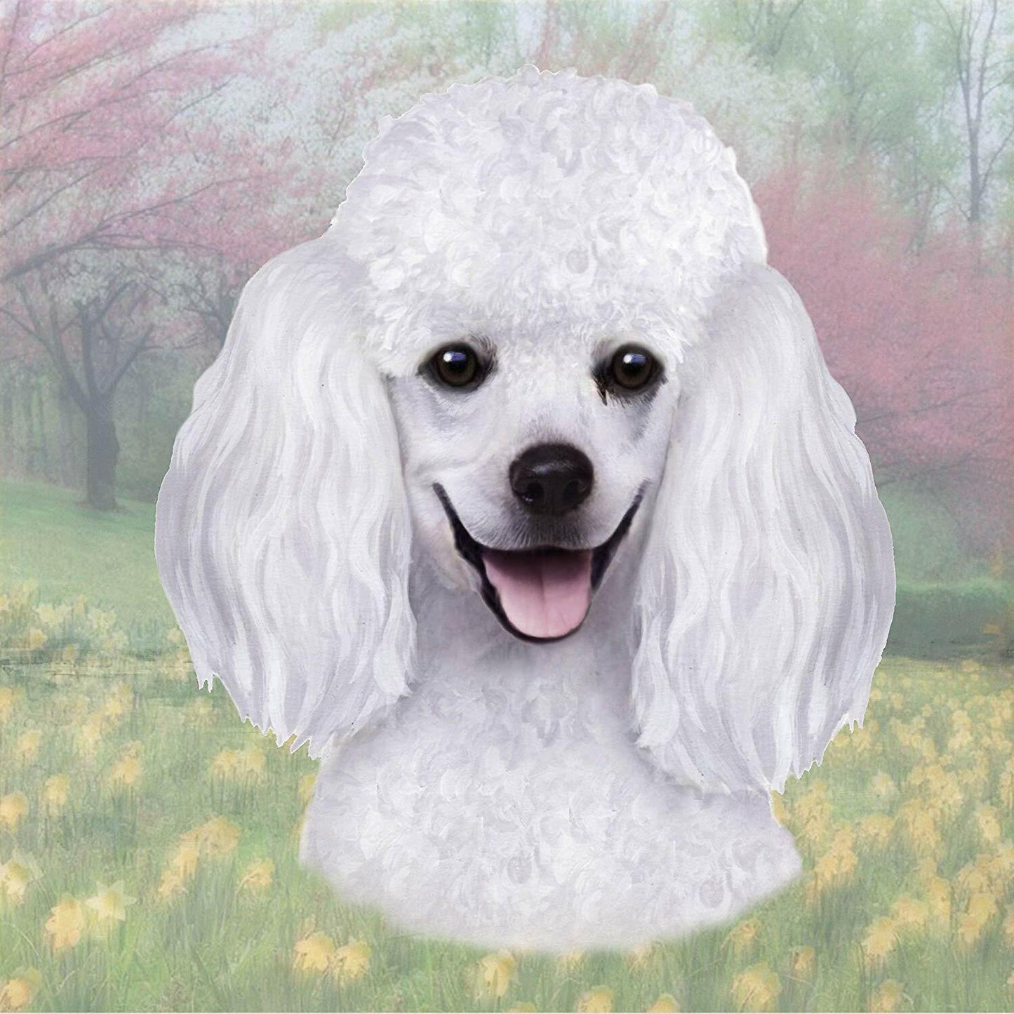 Poodle (White) Tabletop Drink Coaster (1)